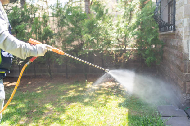 Best Best Pest Control Companies  in Dutch Island, GA