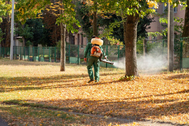 Best Insect Control  in Dutch Island, GA