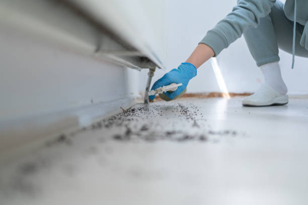 Best Pest Inspection Near Me  in Dutch Island, GA